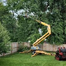 Best Fruit Tree Pruning  in Menomonie, WI